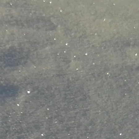 Sternen - Anno 1769 Todtnauberg