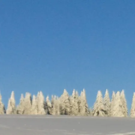 Sternen - Anno 1769 Hotel