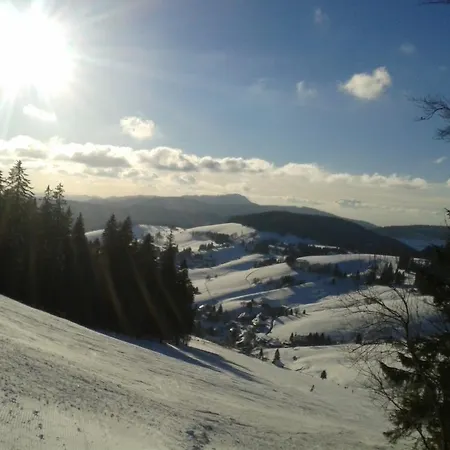 Hotel Sternen - Anno 1769 Todtnauberg