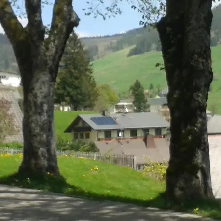Sternen - Anno 1769 Hotel Todtnauberg