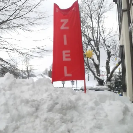 Sternen - Anno 1769 Hotel Todtnauberg