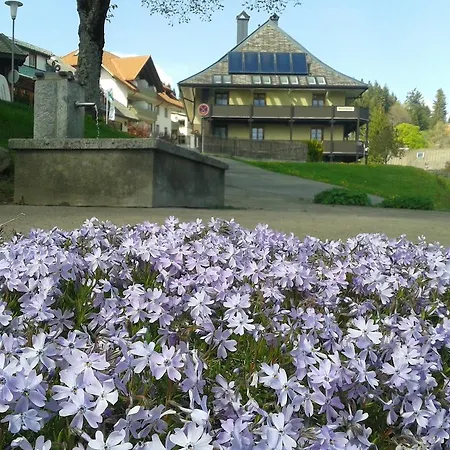Sternen - Anno 1769 Hotel